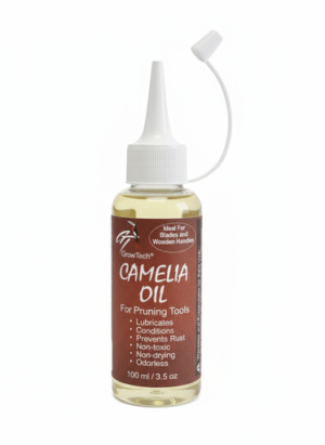 Camellia Oil