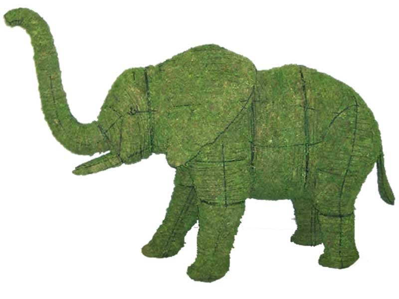 Elephant Topiary - Image 3