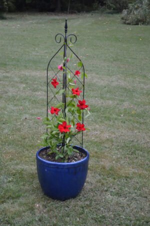 3-Way Diamond Pot Trellis