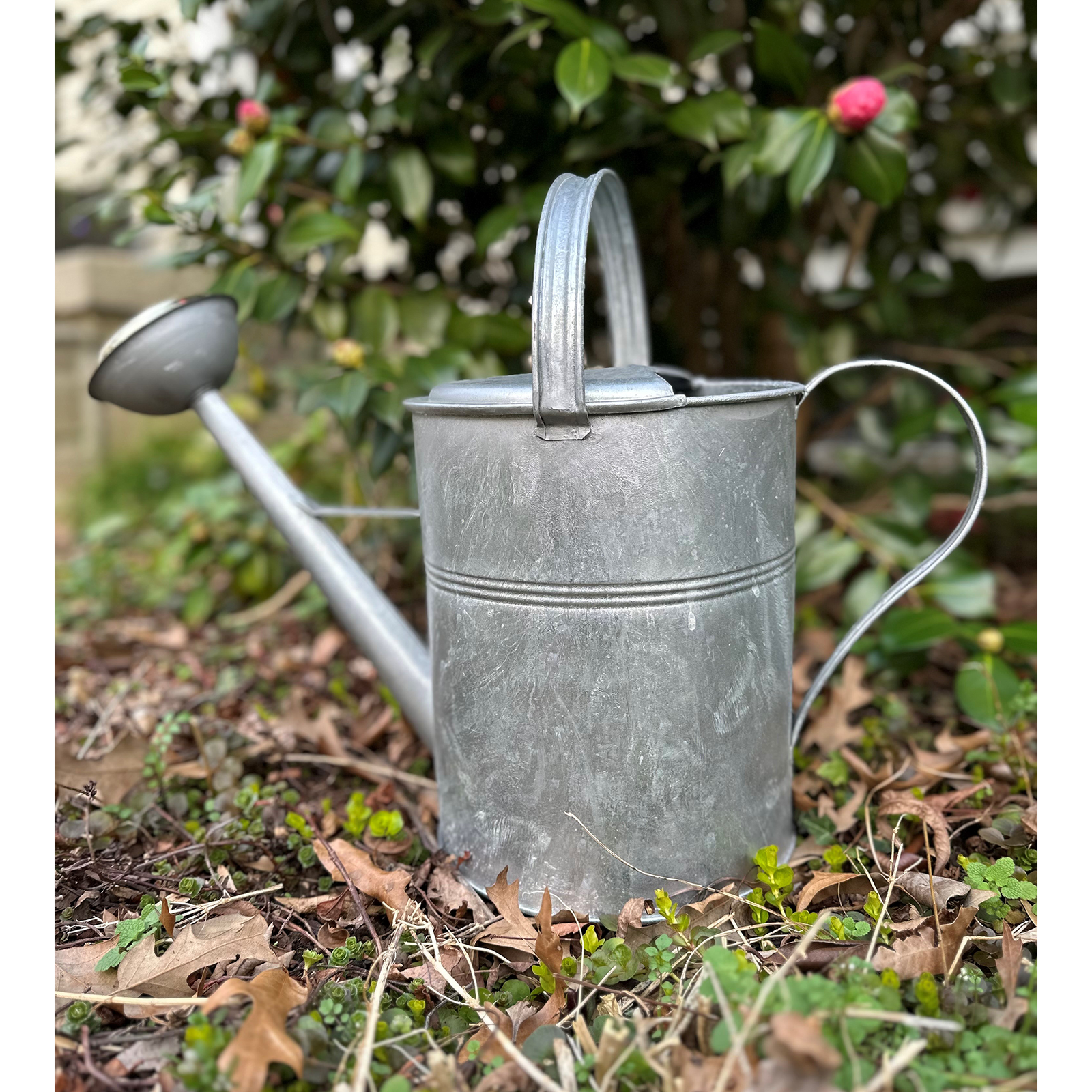 Plain Galvanized European Classic Double Grip Watering Can 2.6 gallon - Image 4